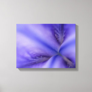 Purple Iris Flower Close Up Canvas Print