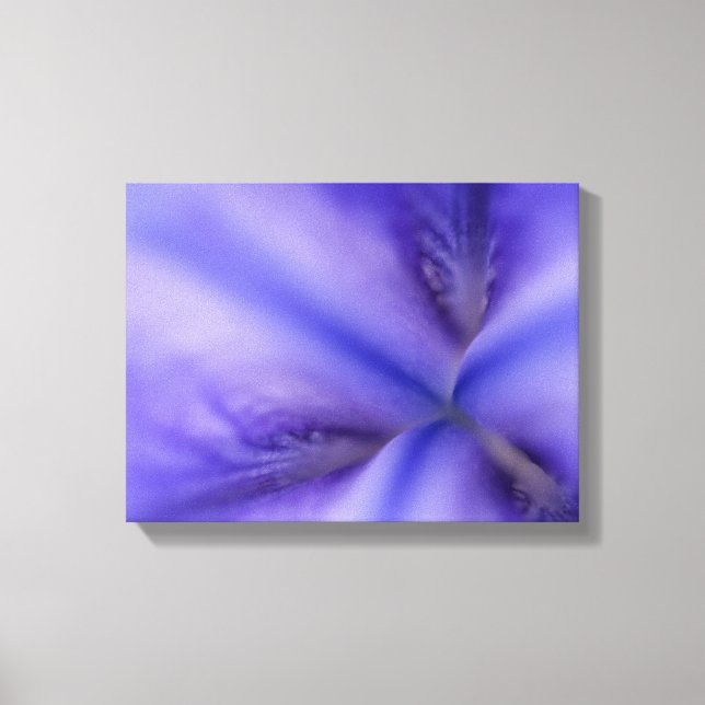 Purple Iris Flower Close Up Canvas Print (Front)
