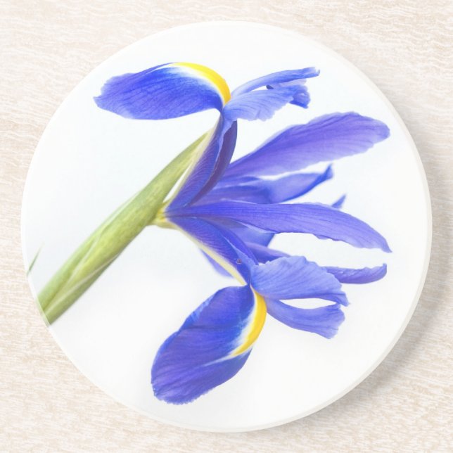 Purple Iris Flower Coaster (Front)