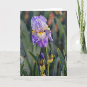 Purple Iris Flower Floral Art Garden Note Card