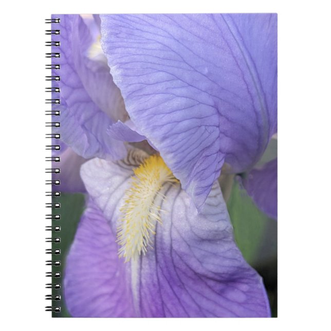 Purple Iris Flower Floral Notebook (Front)