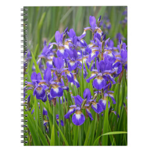 Purple iris flower garden notebook