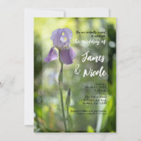 Purple Iris Flower Green Spring Wedding
