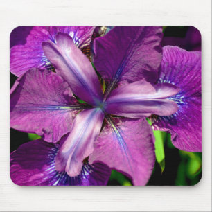 Purple iris flower mouse pad