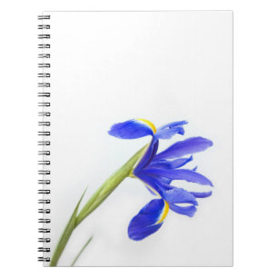 Purple Iris Flower Notebook