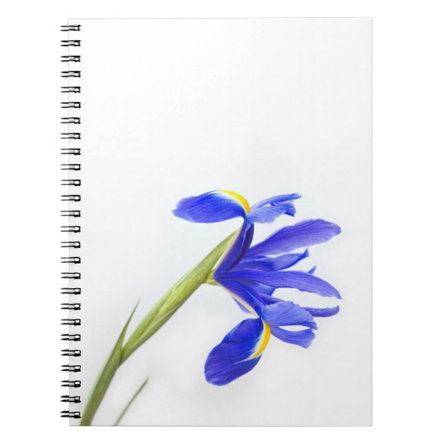 Purple Iris Flower Notebook (Front)
