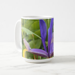 Purple Iris Flower Outdoor Garden Nature Photo Coffee Mug
