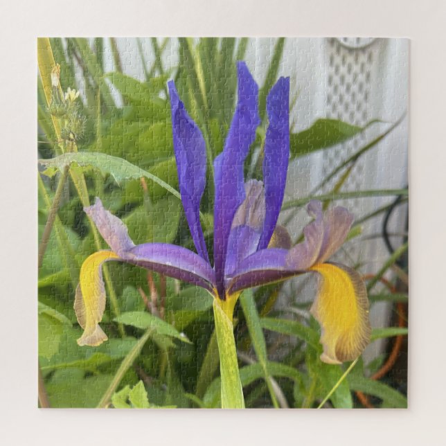 Purple Iris Flower Outdoor Garden Nature Photo Jigsaw Puzzle (Vertical)