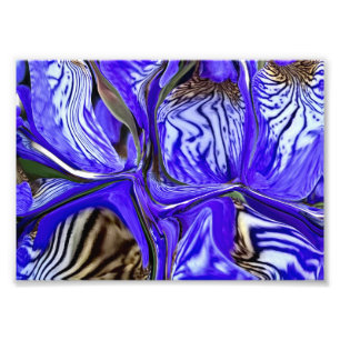 Purple Iris Flower Photo Print