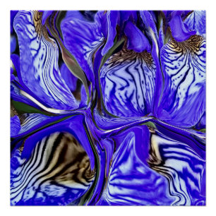 Purple Iris Flower Poster