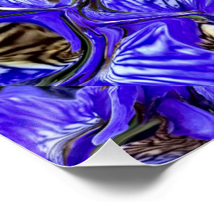 Purple Iris Flower / Slanted / Tiled /  Poster
