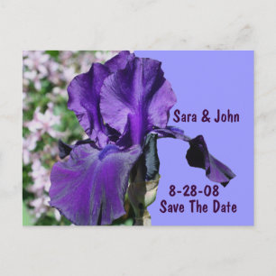 Purple Iris Flower Wedding Save The Date Announcement Postcard