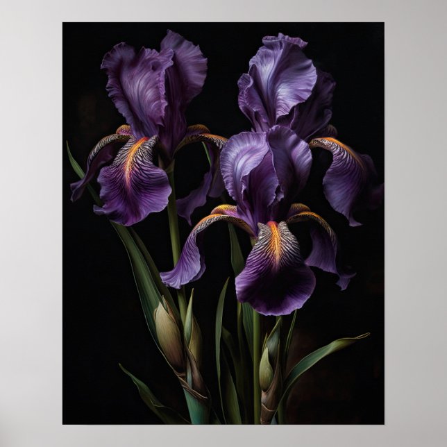 Purple Iris Flowers Art Print Poster (Front)