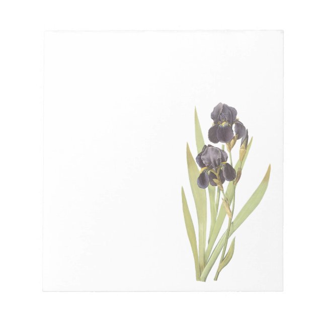 Purple Iris Flowers Notepad (Front)