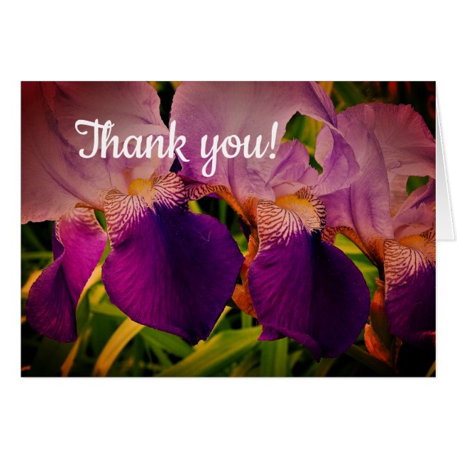 Purple Iris Flowers Photo Thank you  card (Front Horizontal)