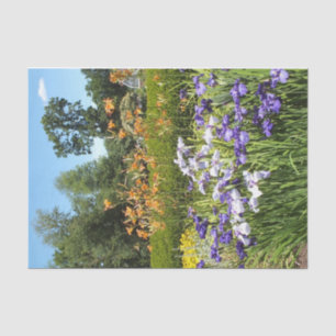 Purple Iris Garden Tissue Paper