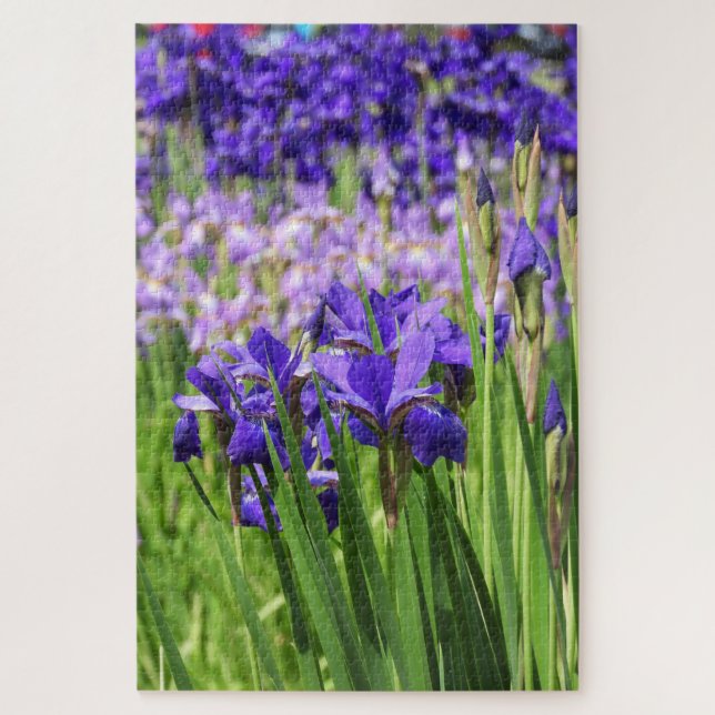 Purple Iris in Bloom, Elizabeth Park Gardens Jigsaw Puzzle (Vertical)