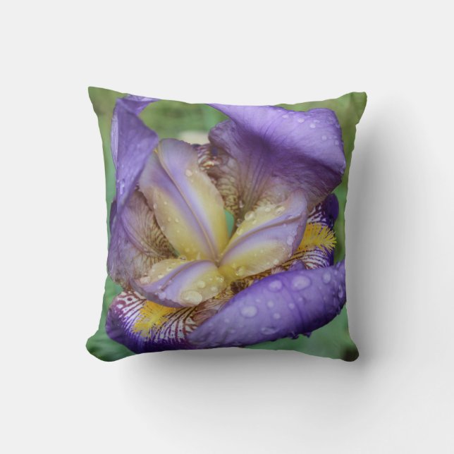 Purple Iris (Iris Germanica) Cushion (Front)