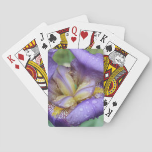 Purple Iris (Iris Germanica) Playing Cards