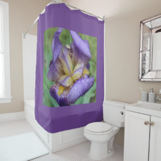 Purple Iris (Iris Germanica) Shower Curtain