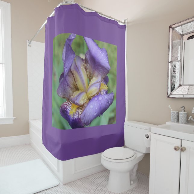 Purple Iris (Iris Germanica) Shower Curtain (In Situ)