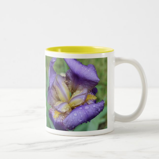 Purple Iris (Iris Germanica) Two-Tone Coffee Mug (Right)
