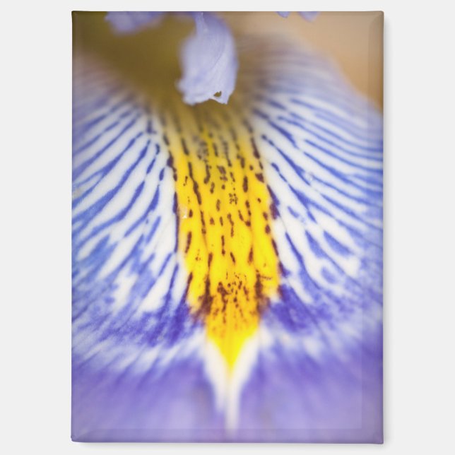 Purple Iris Magnet (Front)