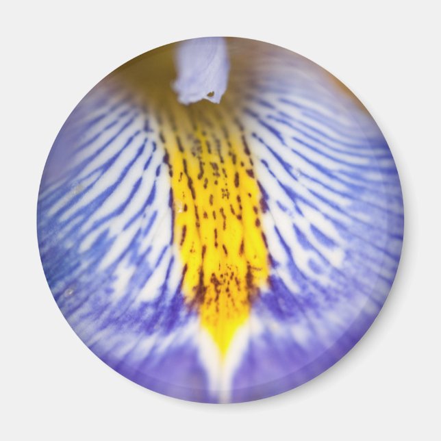 Purple Iris Magnet (Front)