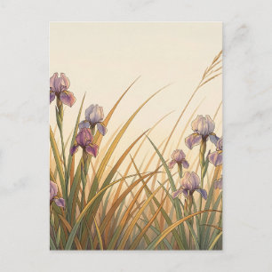 Purple Iris Meadow Golden Grass Landscape Postcard