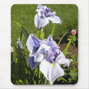 Purple Iris Mousepad