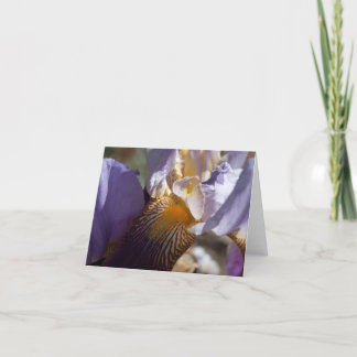Purple Iris Note Card
