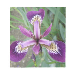 Purple Iris Notepad