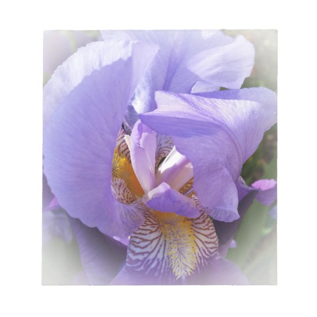 purple iris notepad (Front)