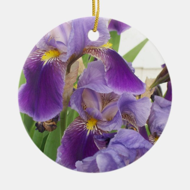 Purple Iris Ornament (Front)