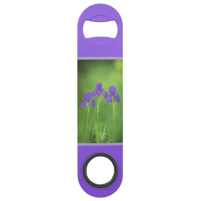 Purple Iris Painting - Original Flower Art (Front)