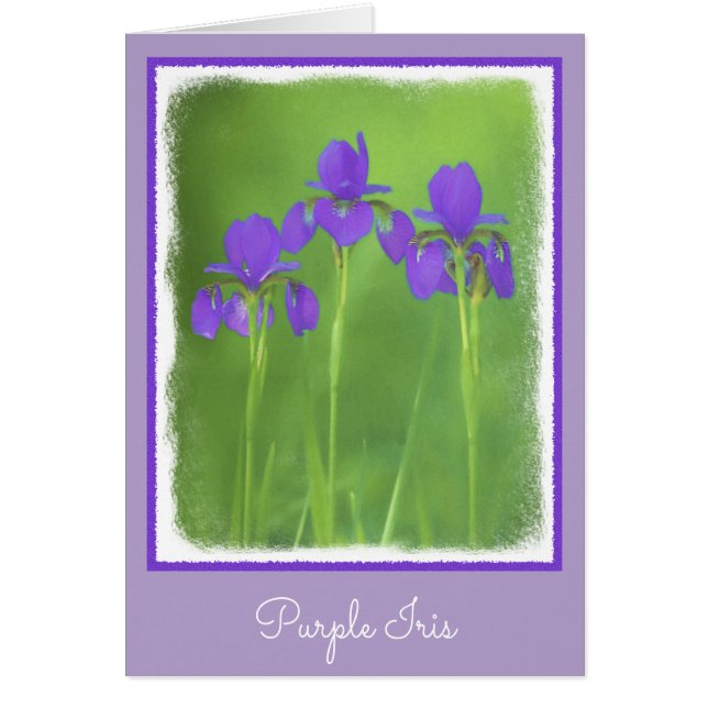 Purple Iris Painting - Original Flower Art (Front)