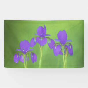 Purple Iris Painting - Original Flower Art Banner