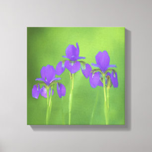 Purple Iris Painting - Original Flower Art Canvas Print