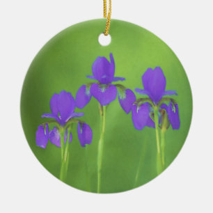 Purple Iris Painting - Original Flower Art Ceramic Tree Decoration