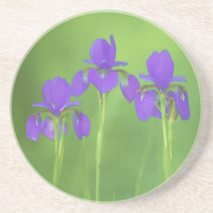Purple Iris Painting - Original Flower Art Coaster
