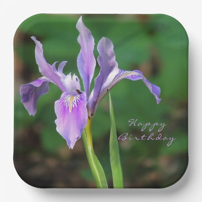 Purple Iris Paper Plate (Front)