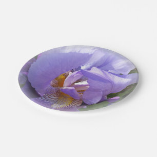 purple iris paper plate