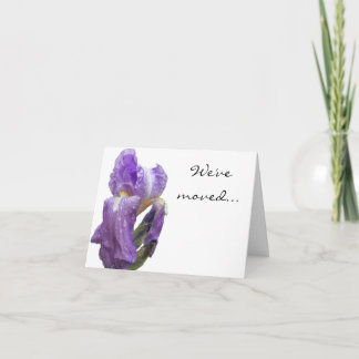 Purple Iris Photograph Announcement