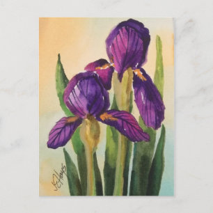 Purple Iris Postcard