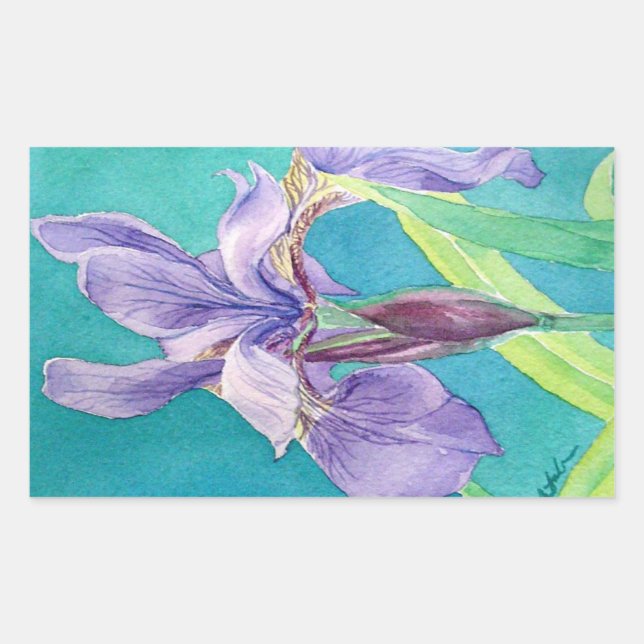 Purple Iris Rectangular Sticker (Front)