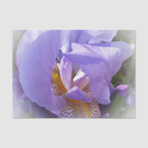 purple iris tissue paper