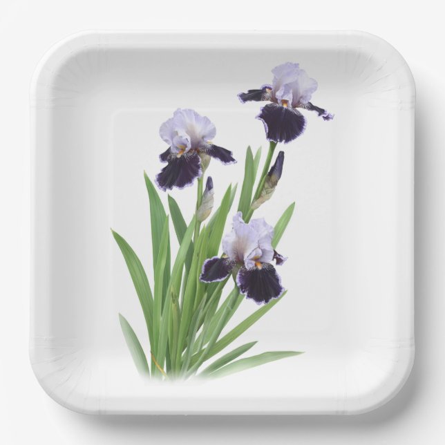 Purple Iris Trio Botanical Art Paper Plate (Front)