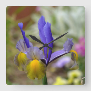 Purple Iris Wall Clock
