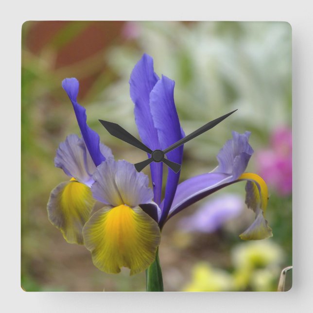 Purple Iris Wall Clock (Front)