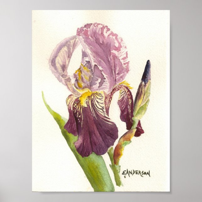 Purple Iris watercolor Poster (Front)
